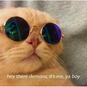 Meet your Posher, Feel